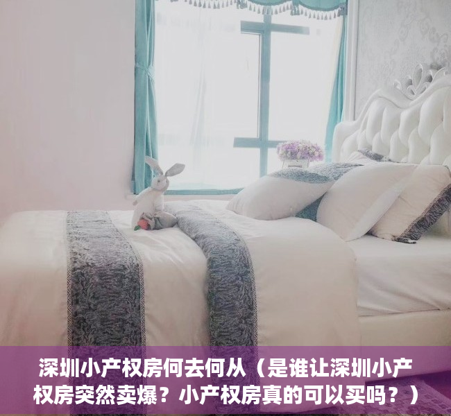 深圳小产权房何去何从（是谁让深圳小产权房突然卖爆？小产权房真的可以买吗？）