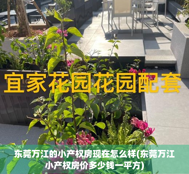 东莞万江的小产权房现在怎么样(东莞万江小产权房价多少钱一平方) 东莞万江的小产权房现在怎么样(东莞万江小产权房价多少钱一平方)