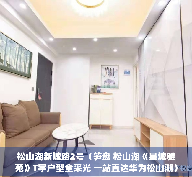 松山湖新城路2号（笋盘 松山湖《星城雅苑》T字户型全采光 一站直达华为松山湖）