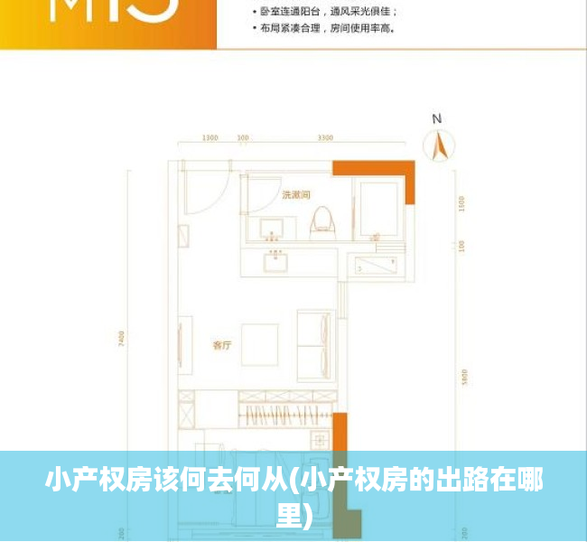 小产权房该何去何从(小产权房的出路在哪里) 小产权房该何去何从(小产权房的出路在哪里)