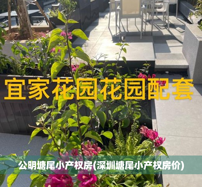公明塘尾小产权房(深圳塘尾小产权房价) 公明塘尾小产权房(深圳塘尾小产权房价)