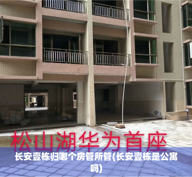 长安壹栋归哪个房管所管(长安壹栋是公寓吗)