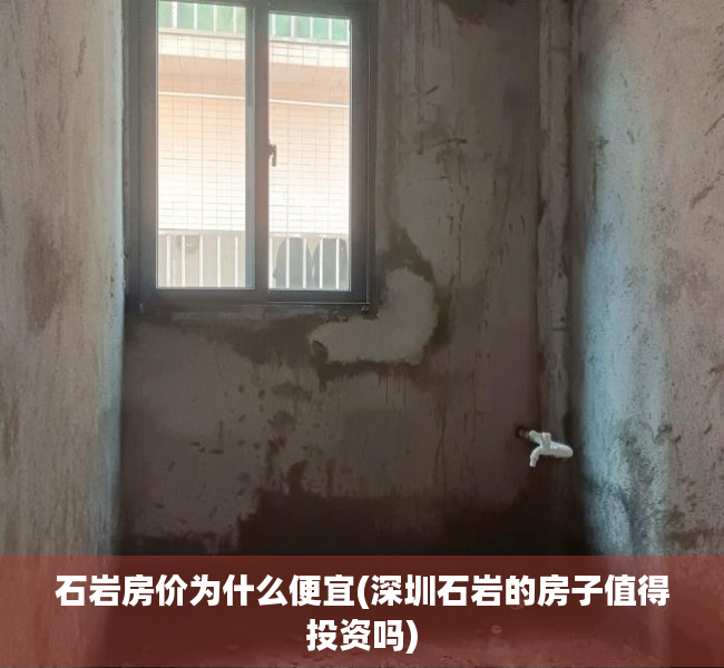 石岩房价为什么便宜(深圳石岩的房子值得投资吗) 石岩房价为什么便宜(深圳石岩的房子值得投资吗)