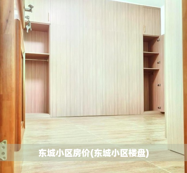 东城小区房价(东城小区楼盘) 东城小区房价(东城小区楼盘)