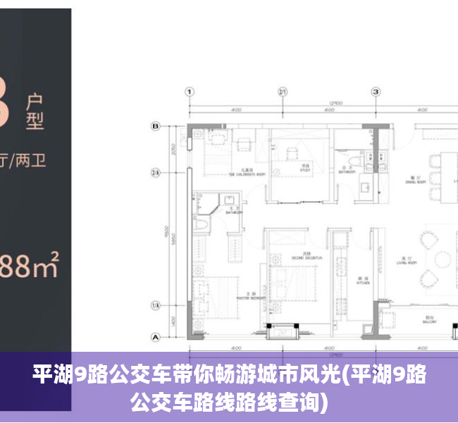 平湖9路公交车带你畅游城市风光(平湖9路公交车路线路线查询)