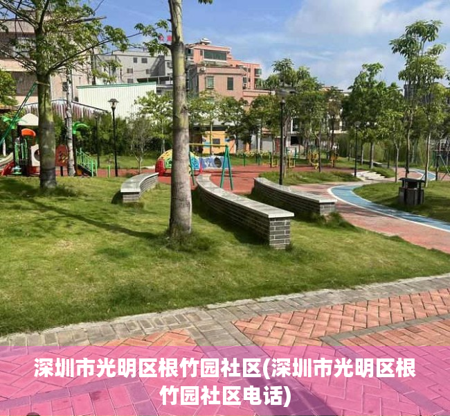 深圳市光明区根竹园社区(深圳市光明区根竹园社区电话)