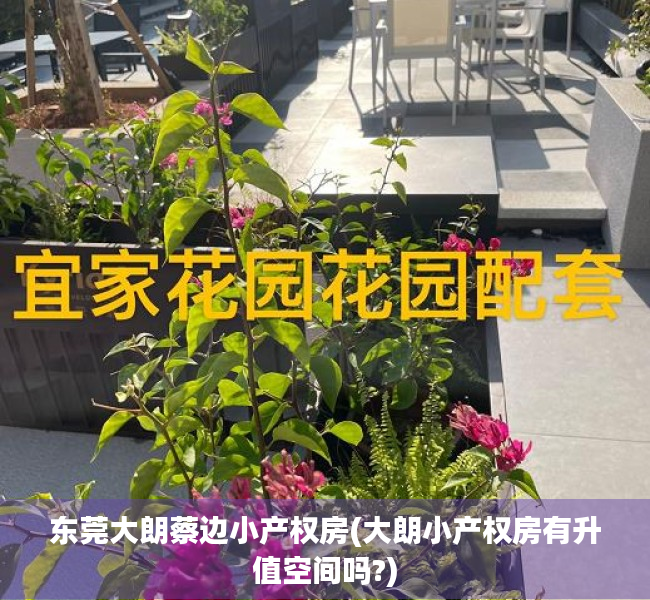 东莞大朗蔡边小产权房(大朗小产权房有升值空间吗?)