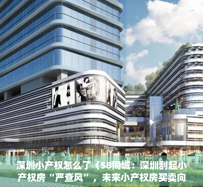 深圳小产权怎么了（58同城：深圳刮起小产权房“严查风”，未来小产权房买卖向左还是向右？）