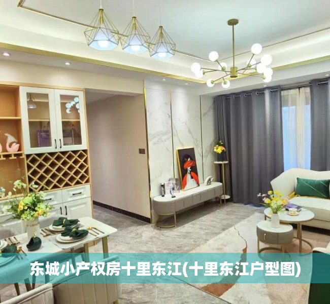 东城小产权房十里东江(十里东江户型图) 东城小产权房十里东江(十里东江户型图)