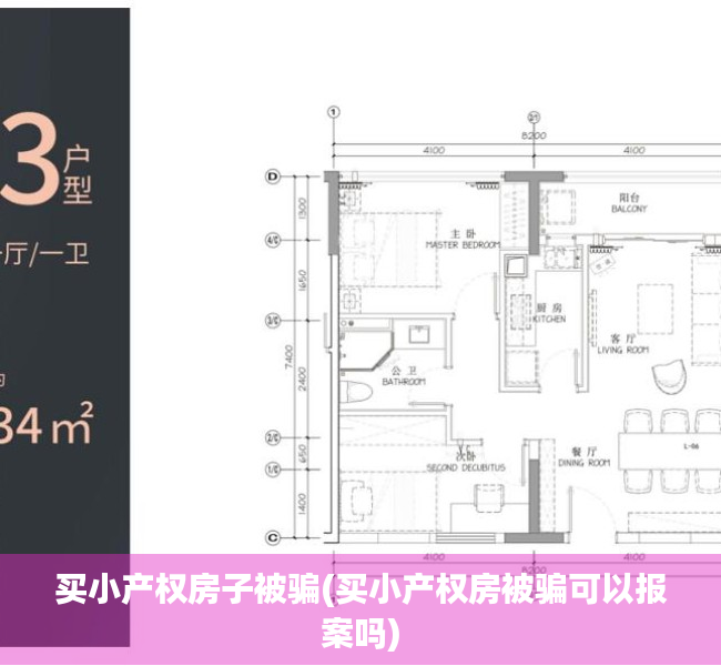 买小产权房子被骗(买小产权房被骗可以报案吗)