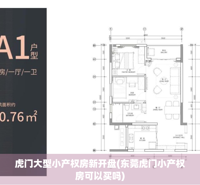 虎门大型小产权房新开盘(东莞虎门小产权房可以买吗) 虎门大型小产权房新开盘(东莞虎门小产权房可以买吗)