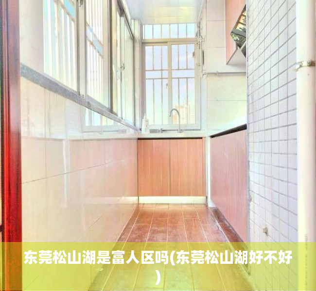 东莞松山湖是富人区吗(东莞松山湖好不好) 东莞松山湖是富人区吗(东莞松山湖好不好)