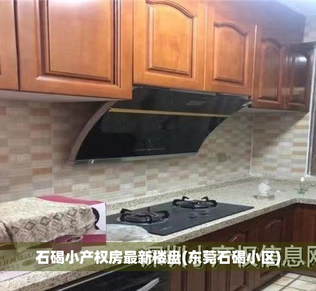 石碣小产权房最新楼盘(东莞石碣小区) 石碣小产权房最新楼盘(东莞石碣小区)