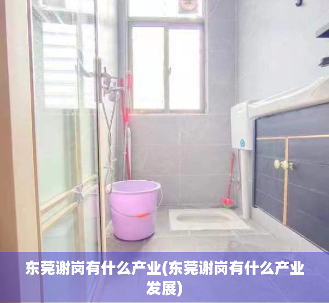 东莞谢岗有什么产业(东莞谢岗有什么产业发展) 东莞谢岗有什么产业(东莞谢岗有什么产业发展)