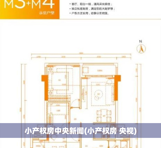 小产权房中央新闻(小产权房 央视) 小产权房中央新闻(小产权房 央视)