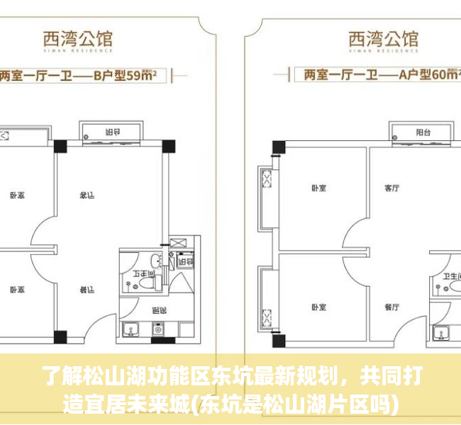 了解松山湖功能区东坑最新规划，共同打造宜居未来城(东坑是松山湖片区吗)