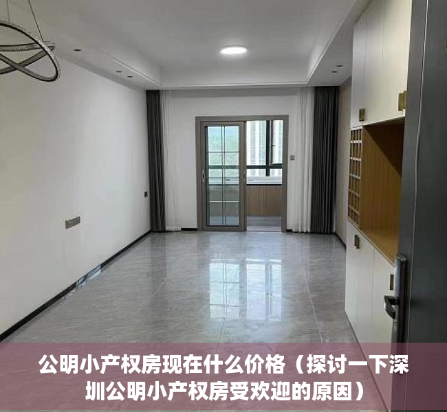 公明小产权房现在什么价格（探讨一下深圳公明小产权房受欢迎的原因）