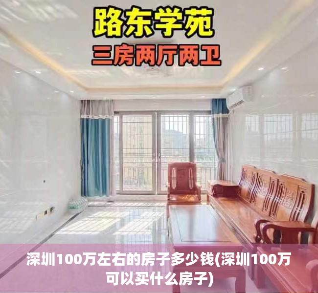 深圳100万左右的房子多少钱(深圳100万可以买什么房子)