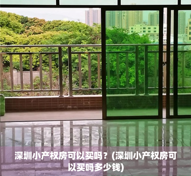 深圳小产权房可以买吗?(深圳小产权房可以买吗多少钱) 深圳小产权房可以买吗?(深圳小产权房可以买吗多少钱)