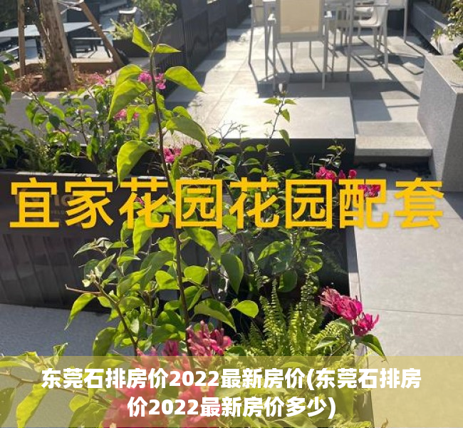 东莞石排房价2022最新房价(东莞石排房价2022最新房价多少) 东莞石排房价2022最新房价(东莞石排房价2022最新房价多少)