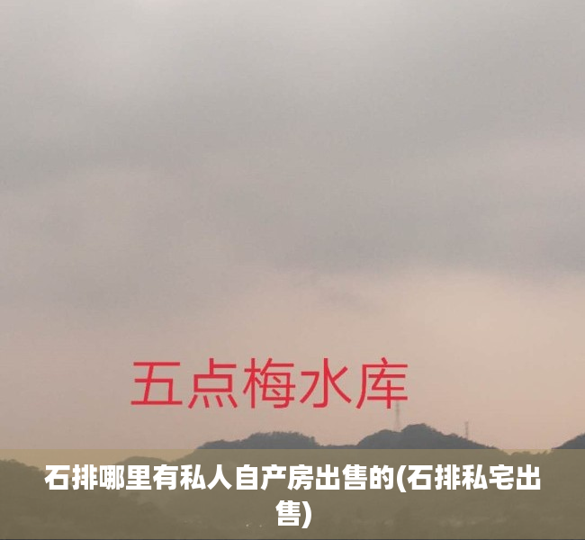 石排哪里有私人自产房出售的(石排私宅出售) 石排哪里有私人自产房出售的(石排私宅出售)