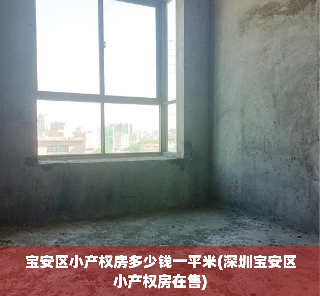 宝安区小产权房多少钱一平米(深圳宝安区小产权房在售)