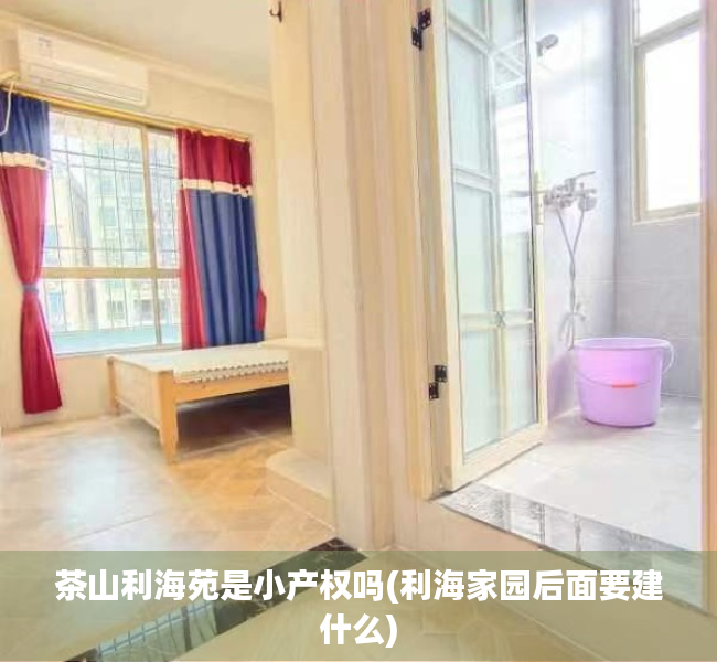 茶山利海苑是小产权吗(利海家园后面要建什么)