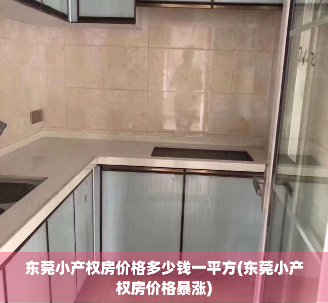 东莞小产权房价格多少钱一平方(东莞小产权房价格暴涨)