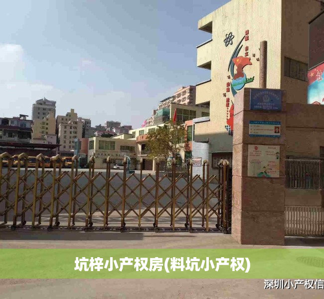 坑梓小产权房(料坑小产权) 坑梓小产权房(料坑小产权)