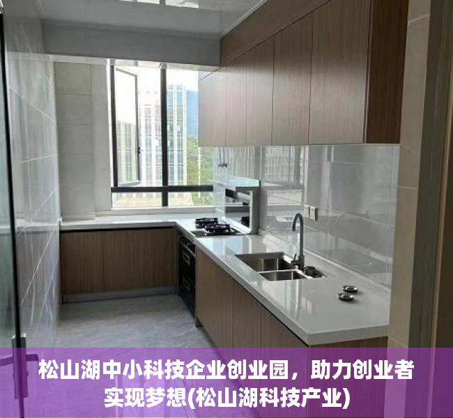 松山湖中小科技企业创业园，助力创业者实现梦想(松山湖科技产业)