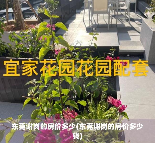 东莞谢岗的房价多少(东莞谢岗的房价多少钱) 东莞谢岗的房价多少(东莞谢岗的房价多少钱)