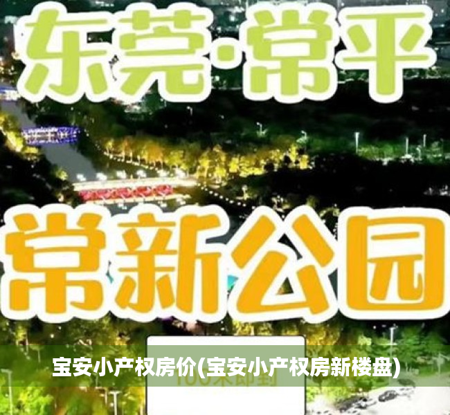 宝安小产权房价(宝安小产权房新楼盘)