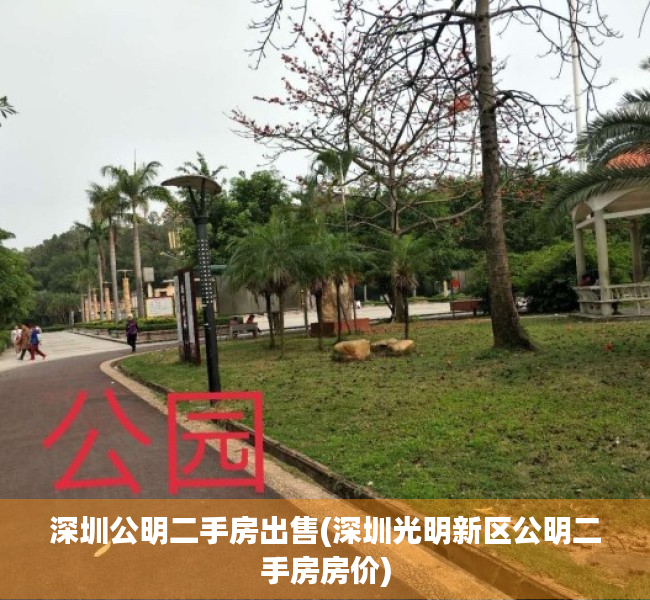 深圳公明二手房出售(深圳光明新区公明二手房房价) 深圳公明二手房出售(深圳光明新区公明二手房房价)