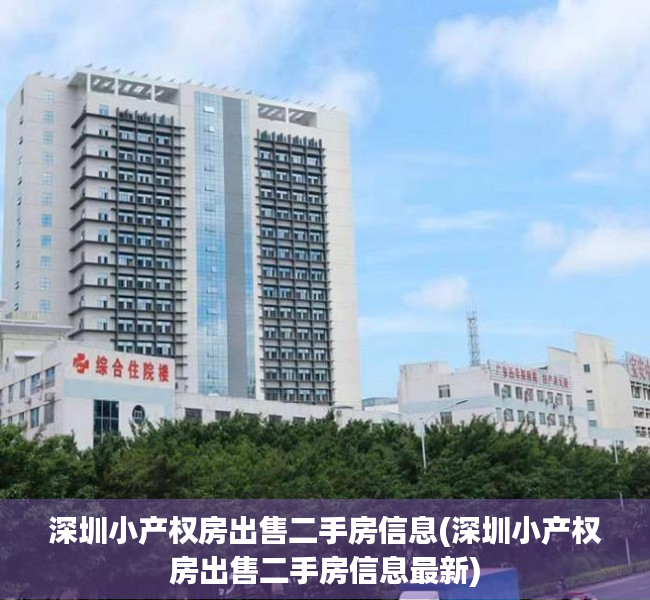 深圳小产权房出售二手房信息(深圳小产权房出售二手房信息最新)