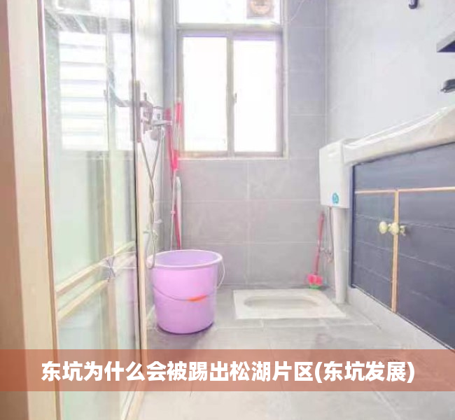 东坑为什么会被踢出松湖片区(东坑发展) 东坑为什么会被踢出松湖片区(东坑发展)