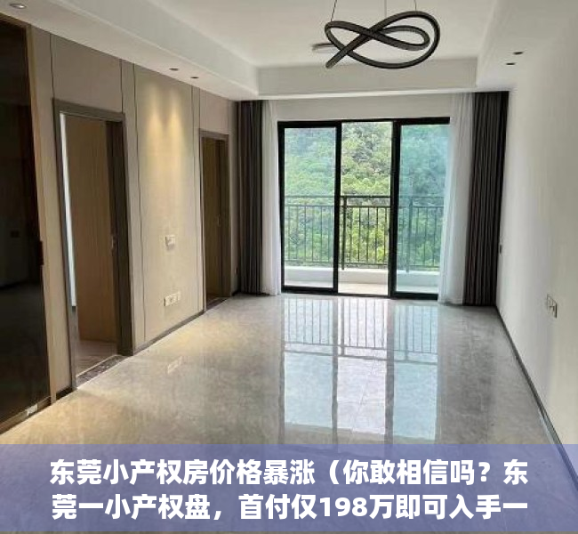 东莞小产权房价格暴涨（你敢相信吗？东莞一小产权盘，首付仅198万即可入手一套房，）