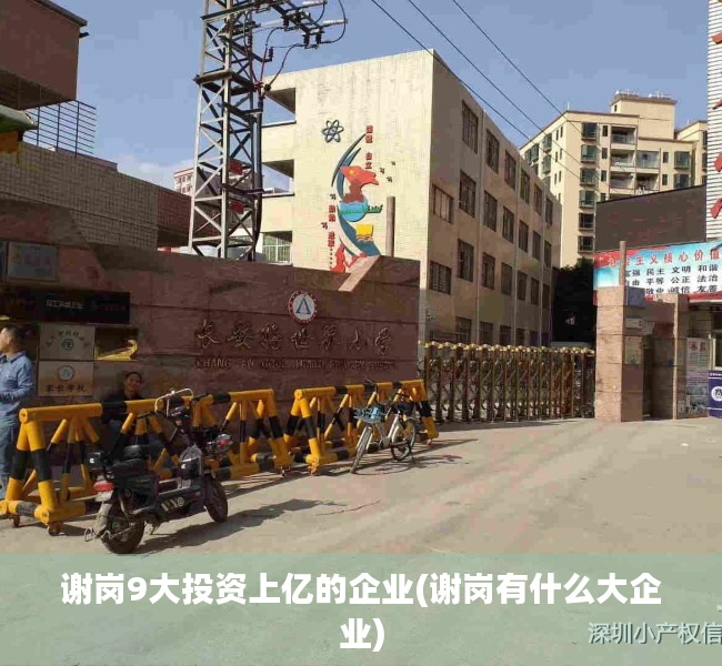 谢岗9大投资上亿的企业(谢岗有什么大企业)