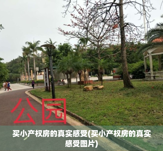 买小产权房的真实感受(买小产权房的真实感受图片)