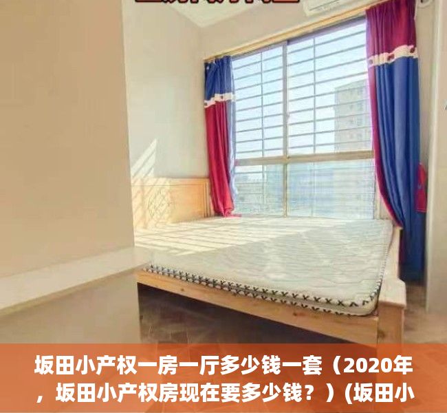 坂田小产权一房一厅多少钱一套（2020年，坂田小产权房现在要多少钱？）(坂田小产权房价一览表)