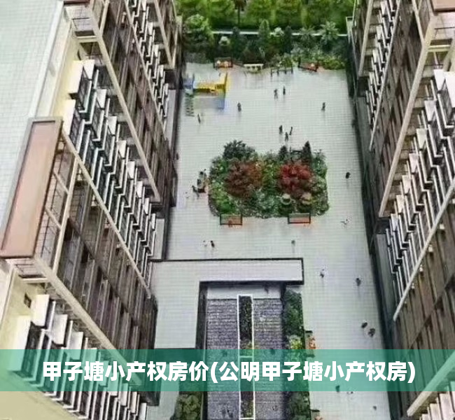 甲子塘小产权房价(公明甲子塘小产权房)