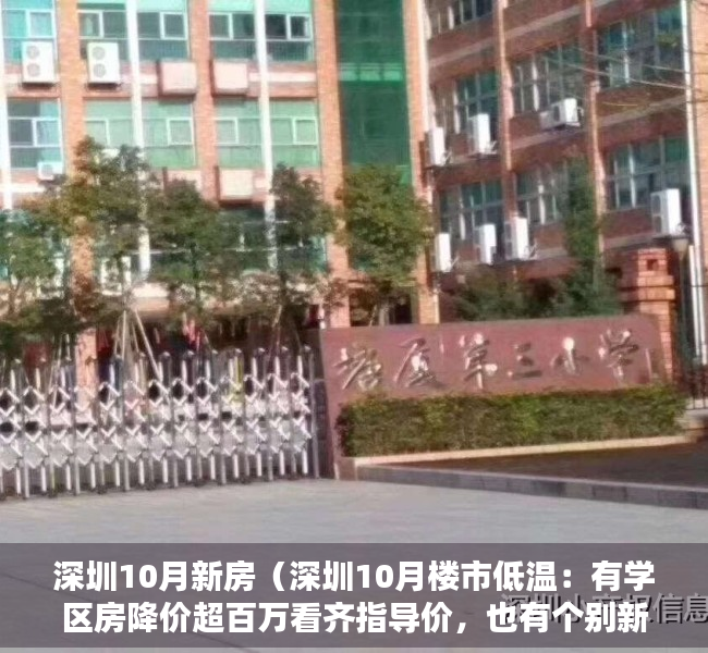 深圳10月新房（深圳10月楼市低温：有学区房降价超百万看齐指导价，也有个别新盘“日光”）