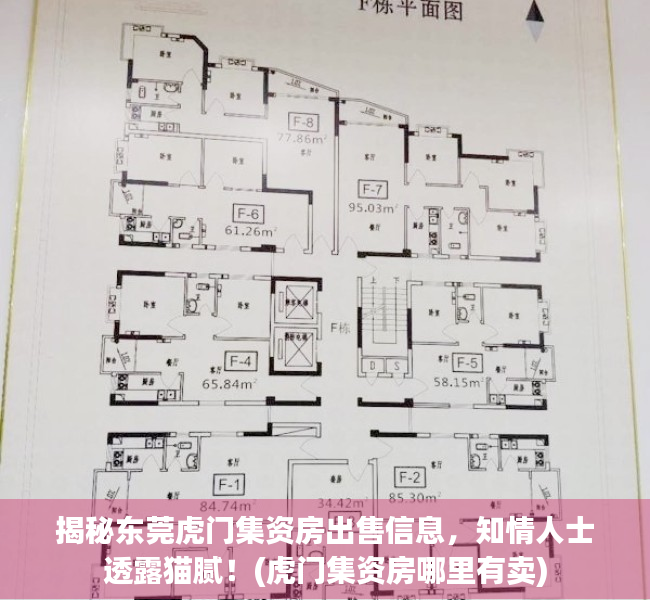 揭秘东莞虎门集资房出售信息，知情人士透露猫腻！(虎门集资房哪里有卖)