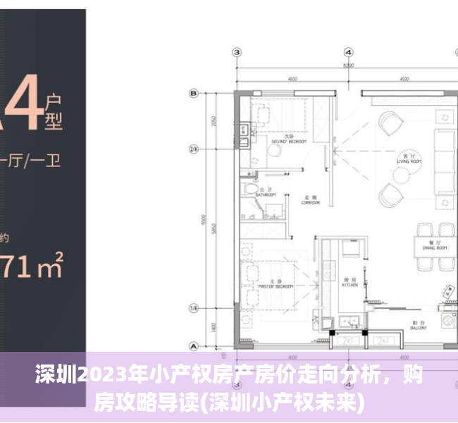 深圳2023年小产权房产房价走向分析，购房攻略导读(深圳小产权未来)