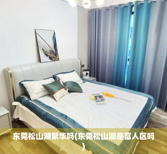 东莞松山湖繁华吗(东莞松山湖是富人区吗)
