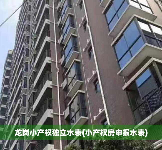 龙岗小产权独立水表(小产权房申报水表)
