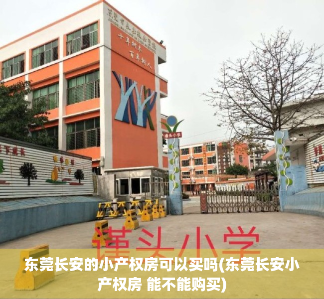 东莞长安的小产权房可以买吗(东莞长安小产权房 能不能购买) 东莞长安的小产权房可以买吗(东莞长安小产权房 能不能购买)