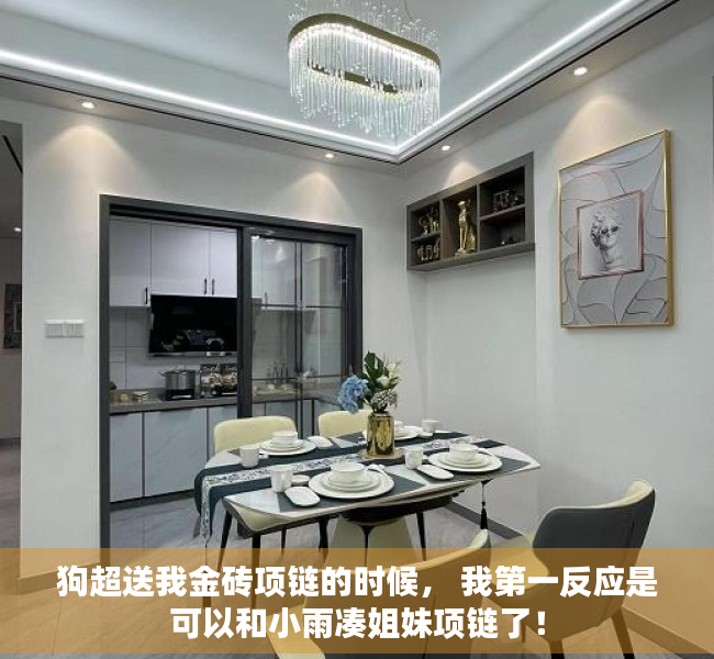 狗超送我金砖项链的时候， 我第一反应是可以和小雨凑姐妹项链了！