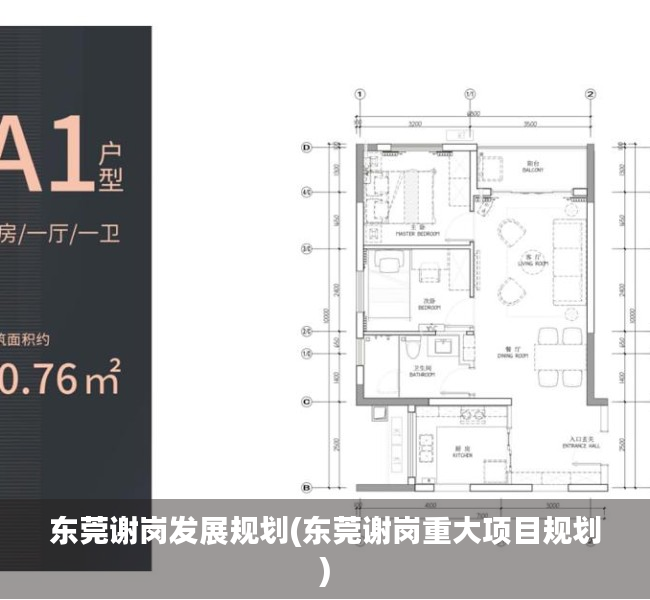 东莞谢岗发展规划(东莞谢岗重大项目规划) 东莞谢岗发展规划(东莞谢岗重大项目规划)