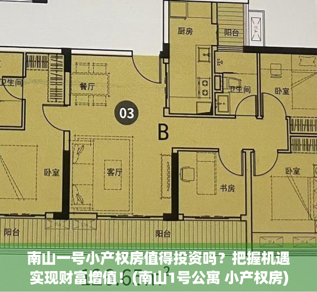南山一号小产权房值得投资吗？把握机遇实现财富增值！(南山1号公寓 小产权房)
