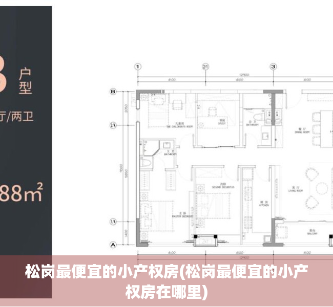 松岗最便宜的小产权房(松岗最便宜的小产权房在哪里)